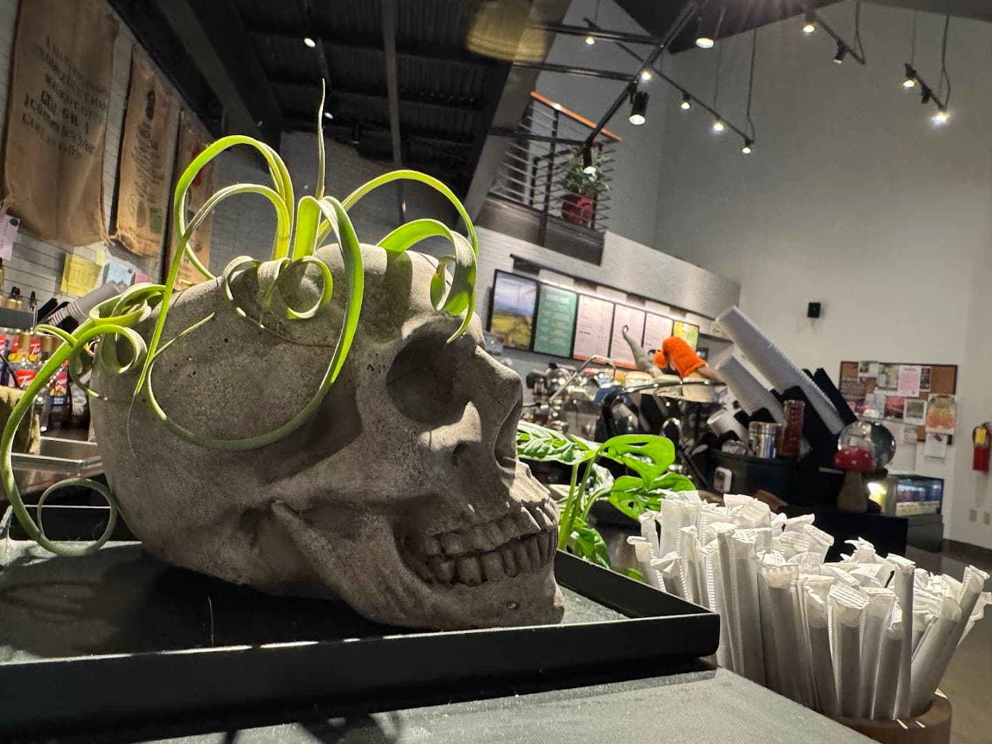 Trail Town Coffee - specialty coffee shop in Chattanooga