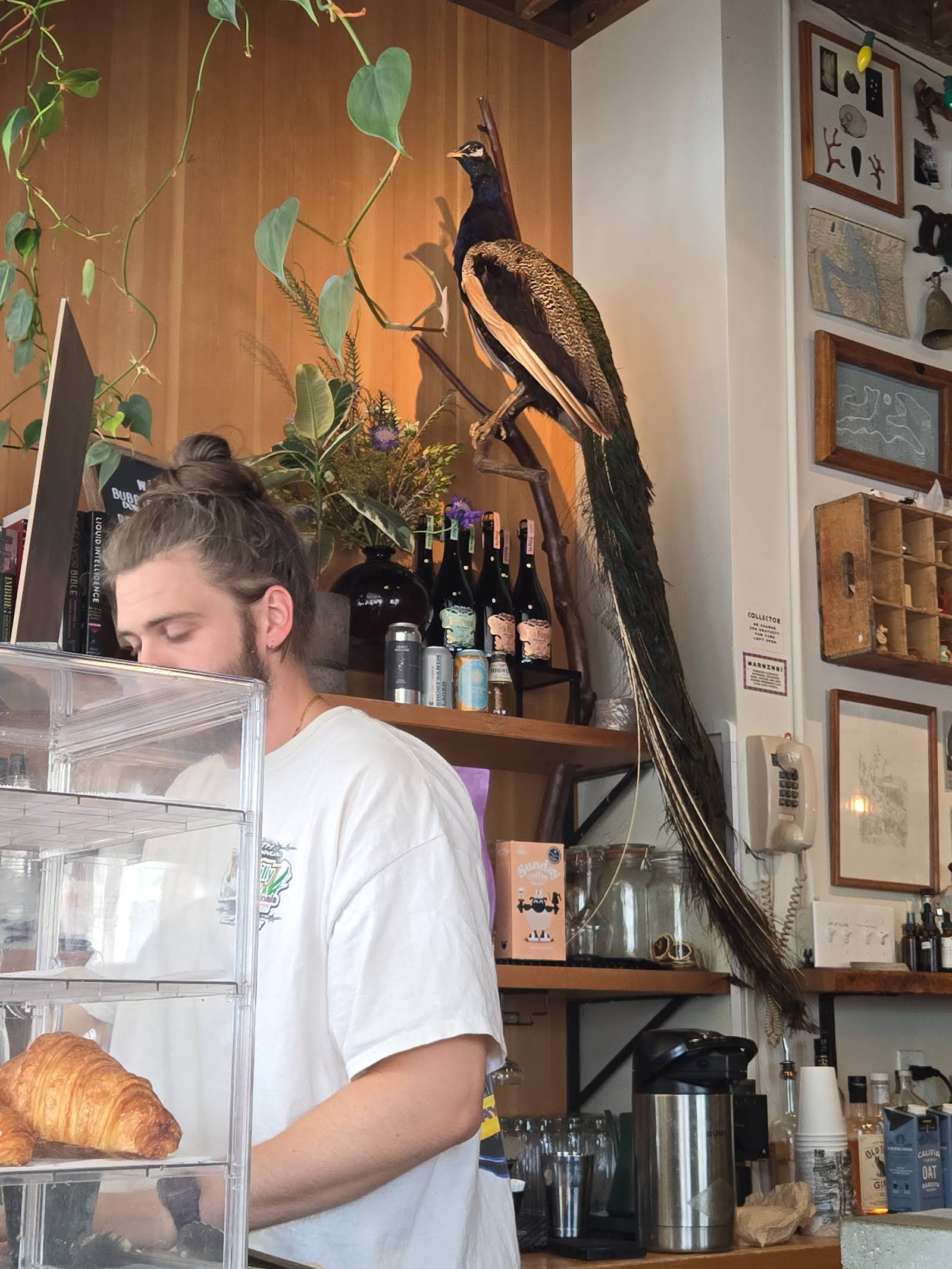 Slow Haste Coffee specialty coffee shop in Portland - photo 12