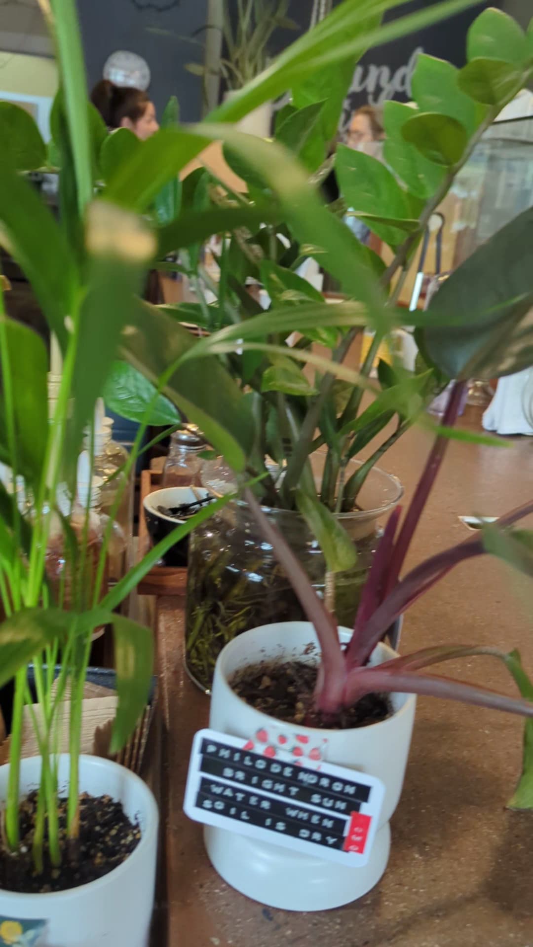 Seven Virtues Coffee Roasters on Glisan - specialty coffee shop in Portland