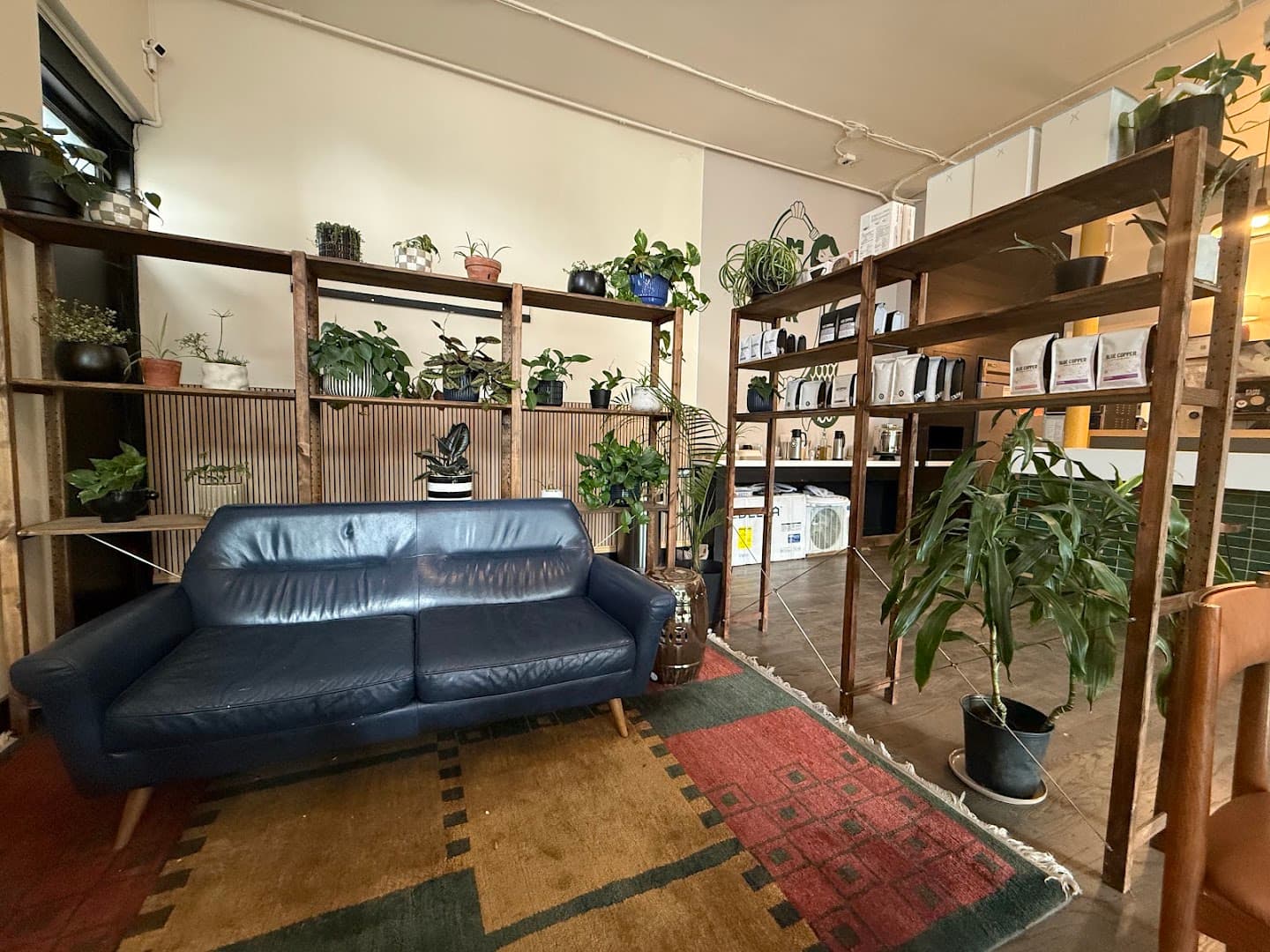 Interior of Mira Mira, specialty coffee shop in Salt Lake City