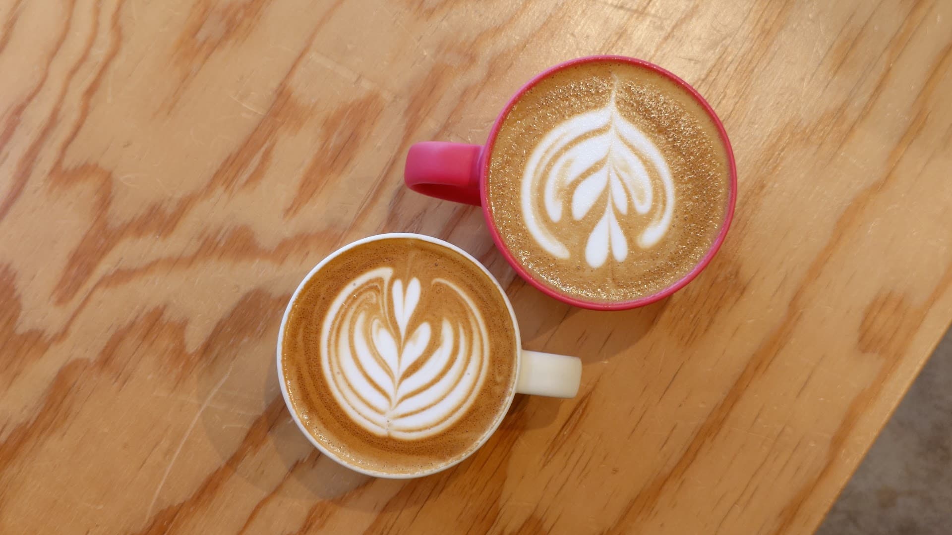 Sedai Coffee and Roasters - specialty coffee shop in Tokyo