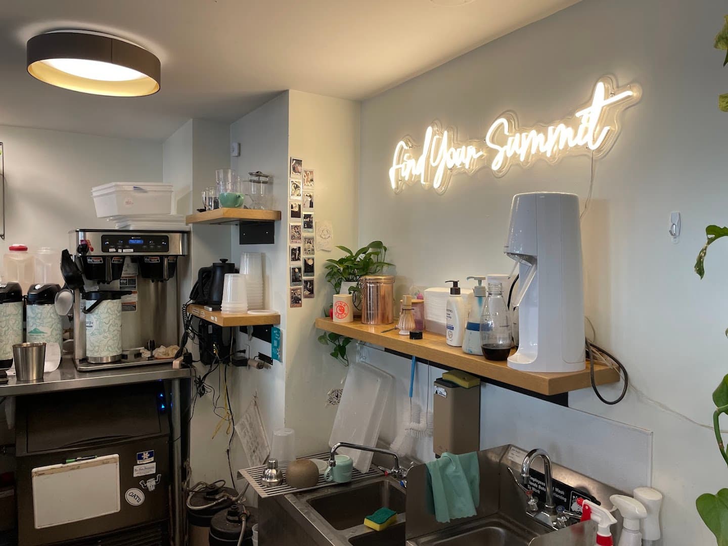 Summit Coffee Grove Arcade - specialty coffee shop in Downtown
