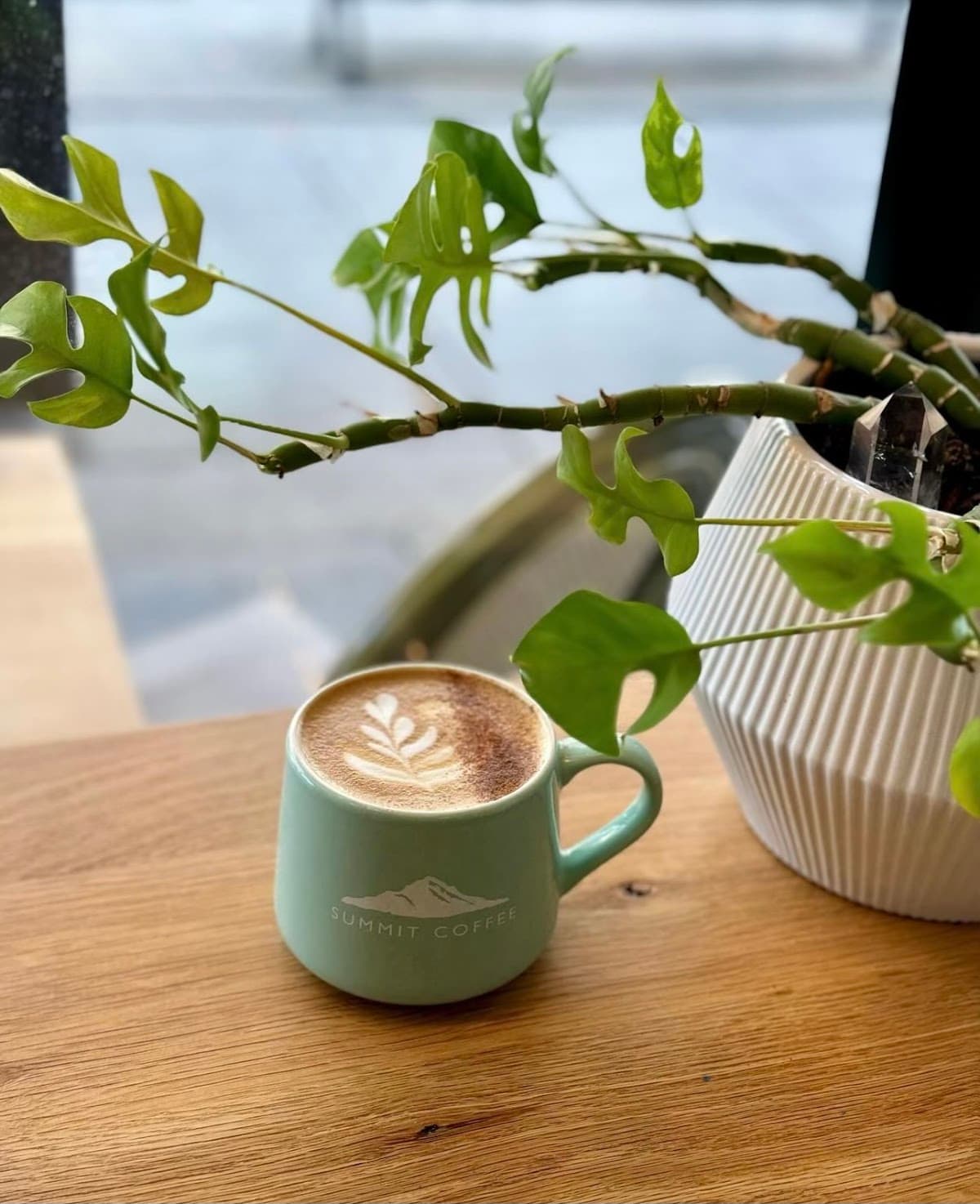 Summit Coffee Grove Arcade - specialty coffee shop in Downtown