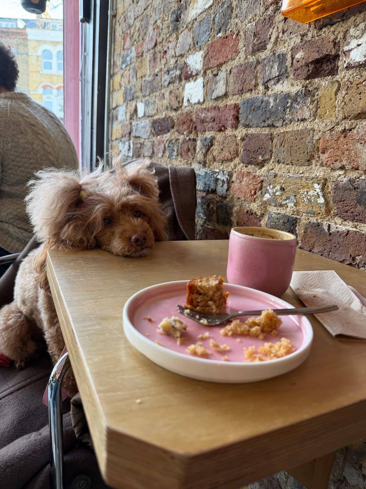 Urban Botanica - specialty coffee shop in London