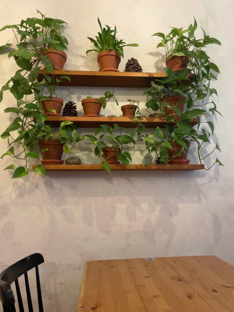 Interior of Srnky, specialty coffee shop in Prague