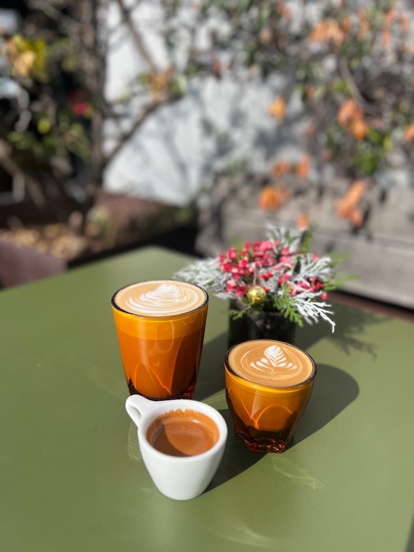 Cafe Moto - specialty coffee shop in San Diego