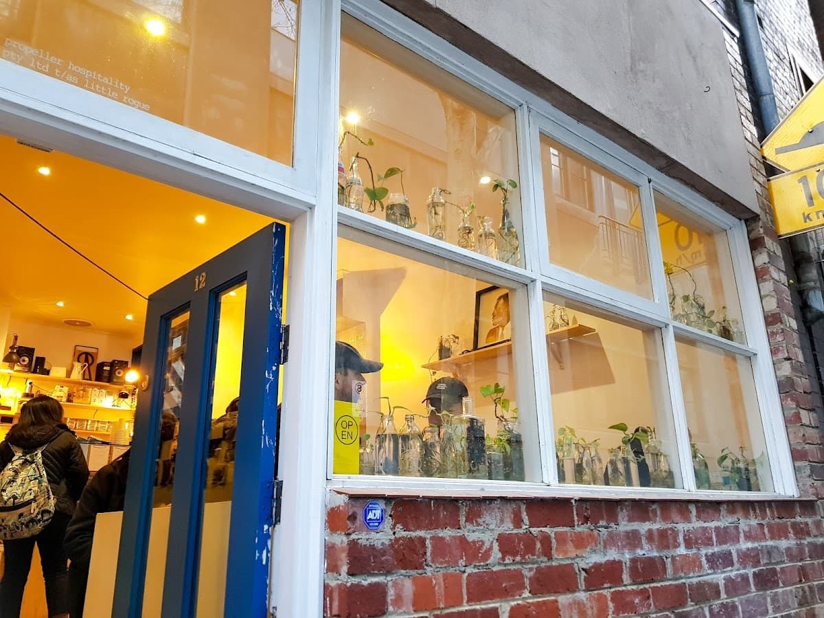 Little Rogue. - specialty coffee shop in CBD