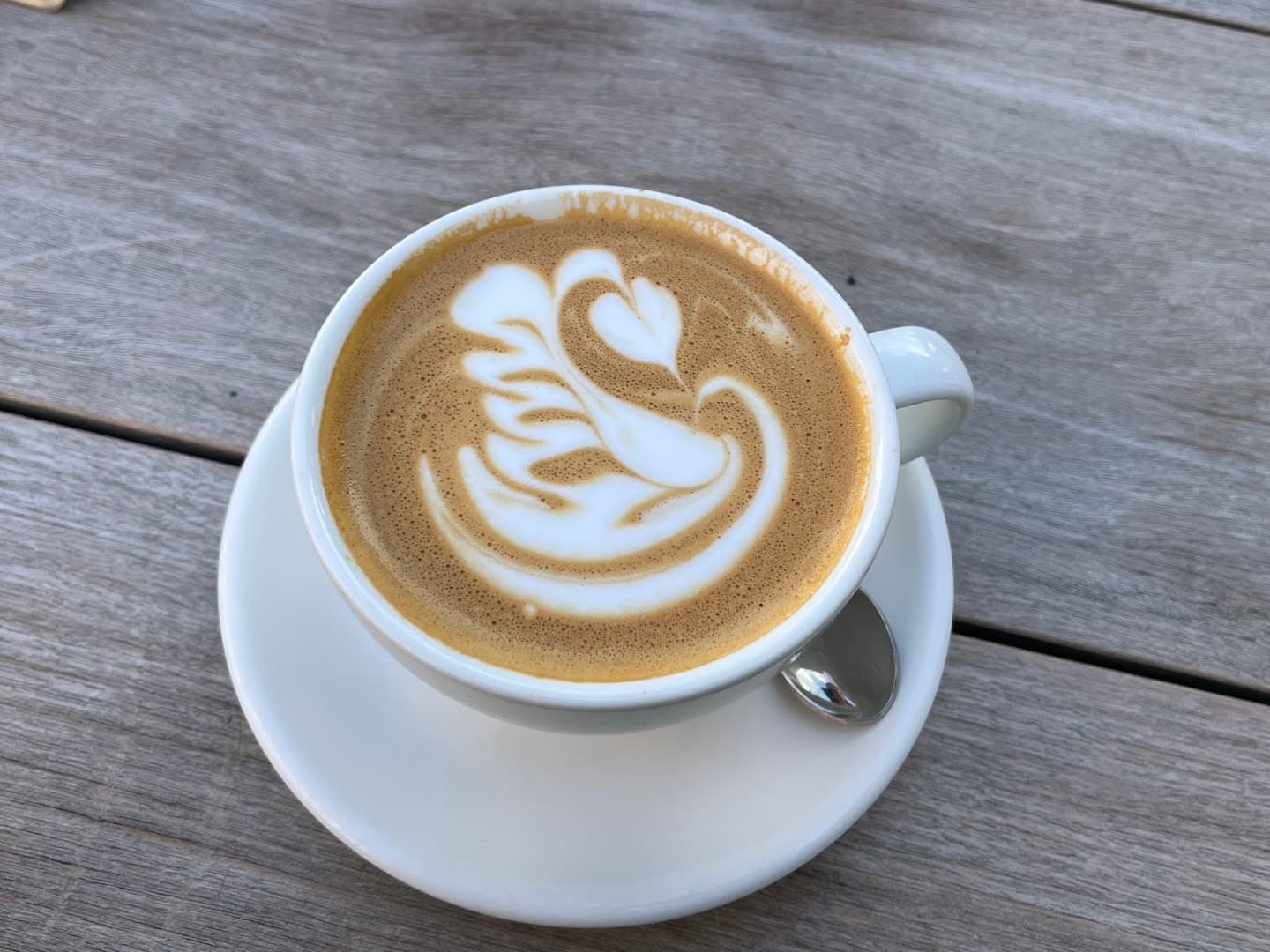 Pauline’s Park Rd Gardens specialty coffee shop in Cape Town - photo 4