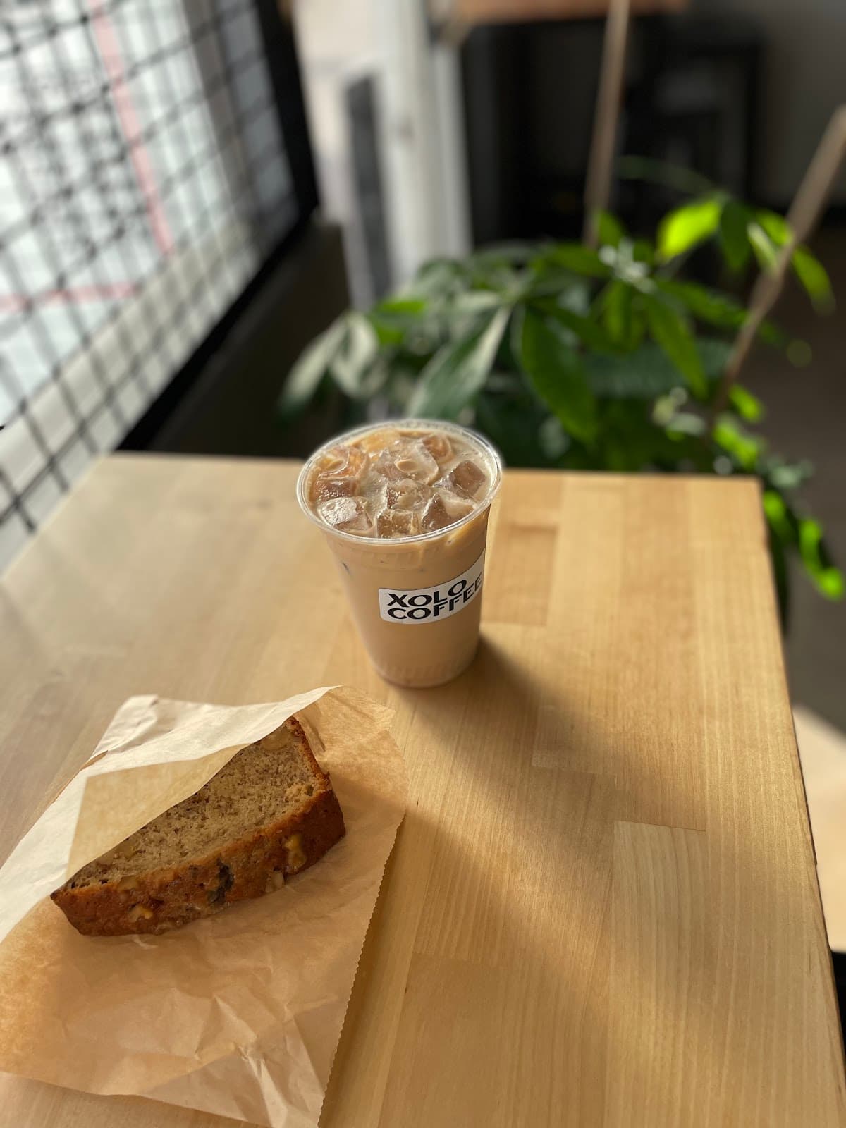 Xolo Coffee specialty coffee shop in Phoenix - photo 6
