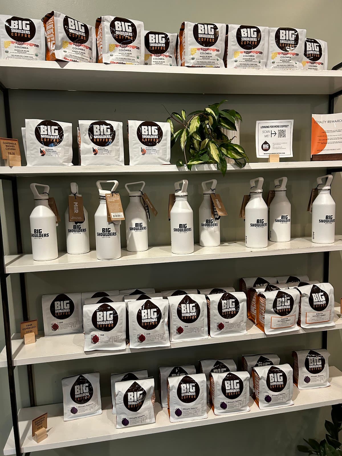 Big Shoulders Coffee - specialty coffee shop in Gold Coast