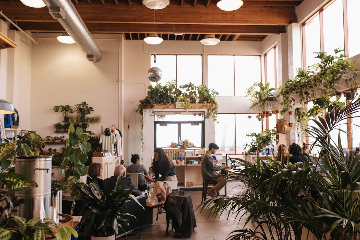 Andytown Coffee Roasters - specialty coffee shop in Outer Richmond