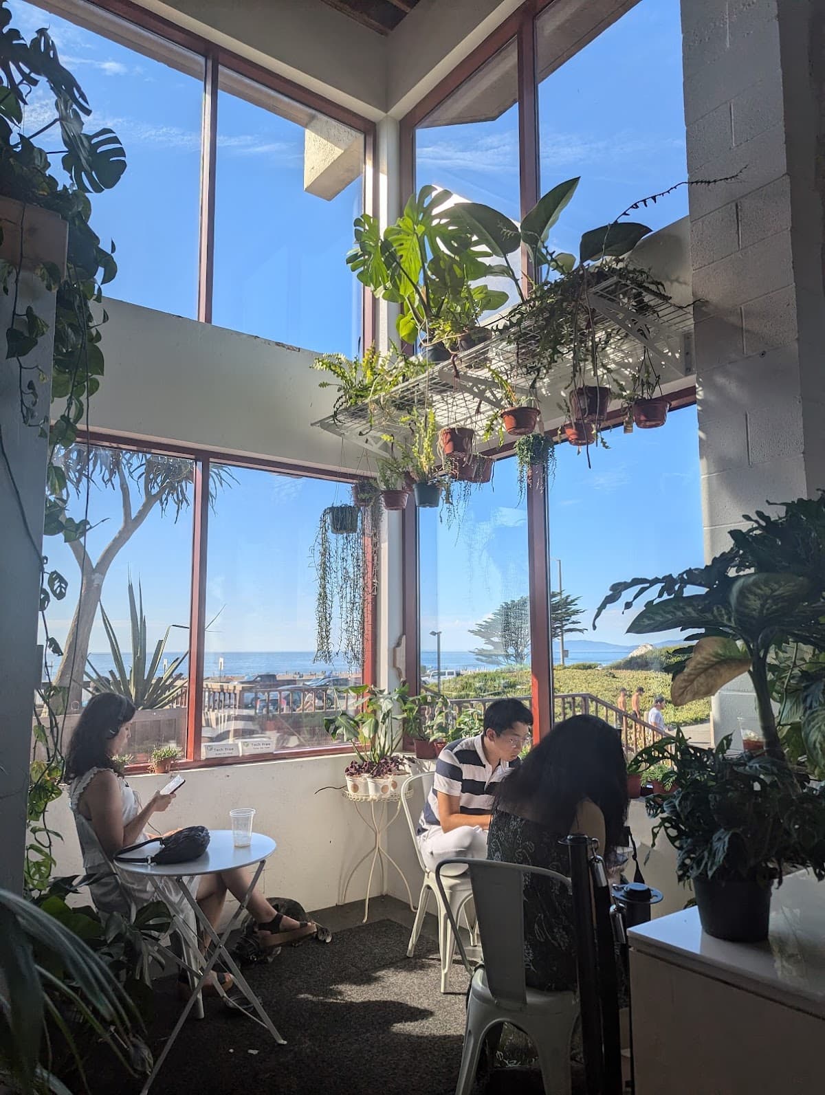 Andytown Coffee Roasters specialty coffee shop in San Francisco - photo 5