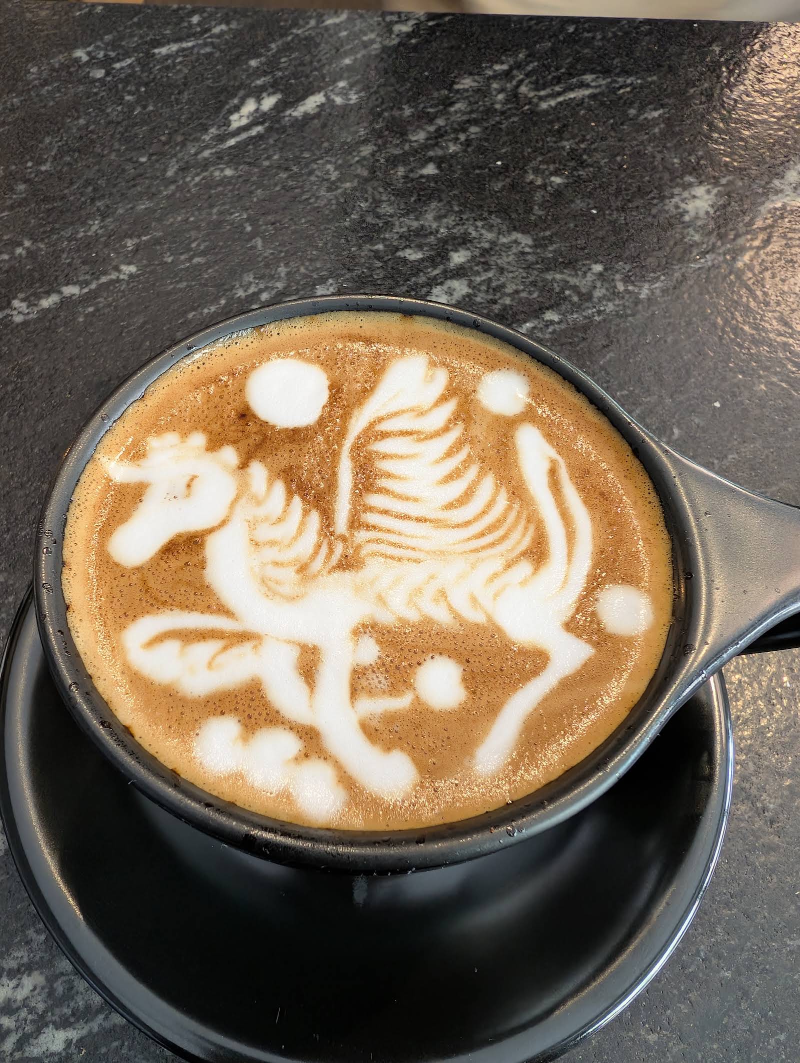 Magnífico Coffee Roasters & Coffee Shop - specialty coffee shop in Avondale