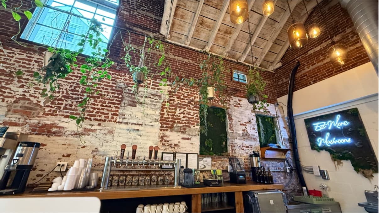 Amanita Cafe - specialty coffee shop in Lancaster