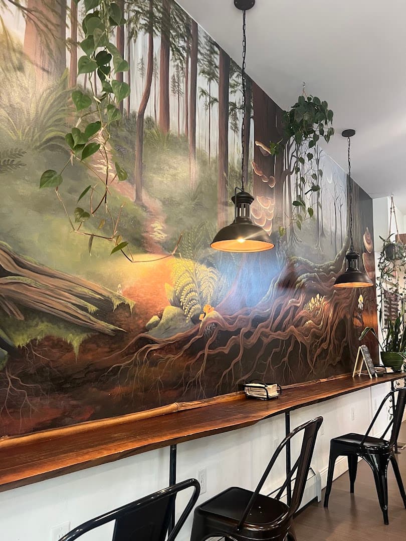 Amanita Cafe - specialty coffee shop in Lancaster