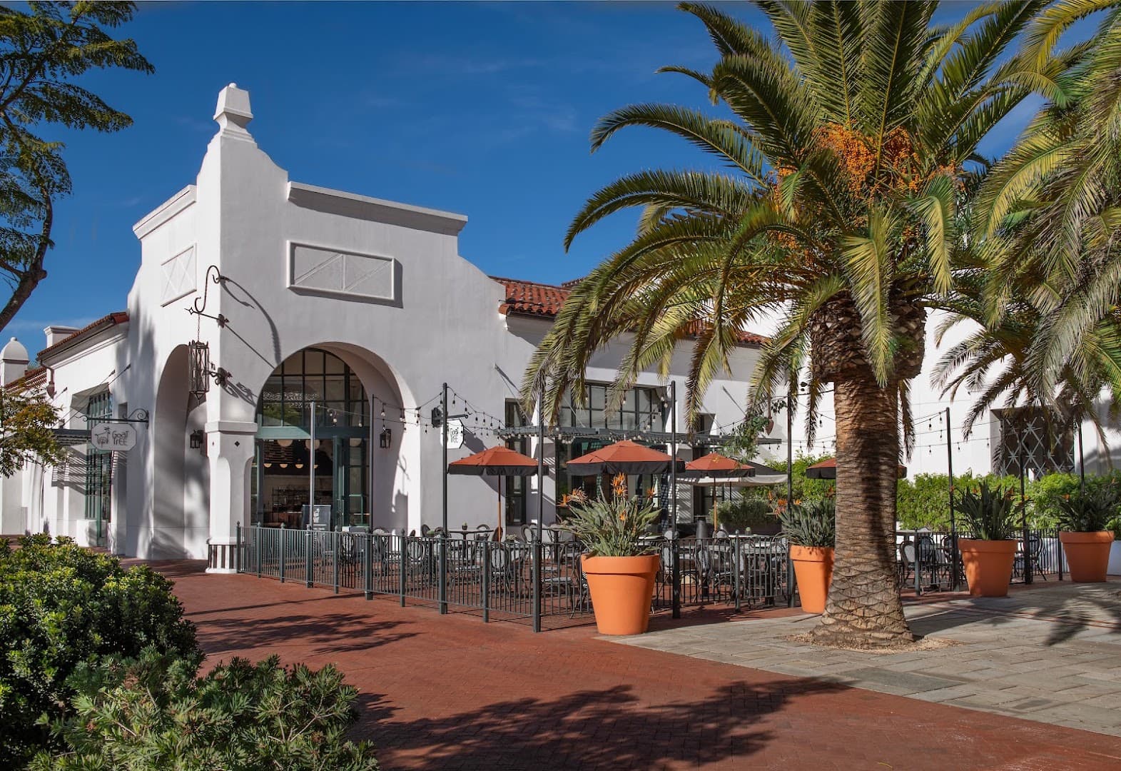 Storefront of Goat Tree, specialty coffee shop in Santa Barbara