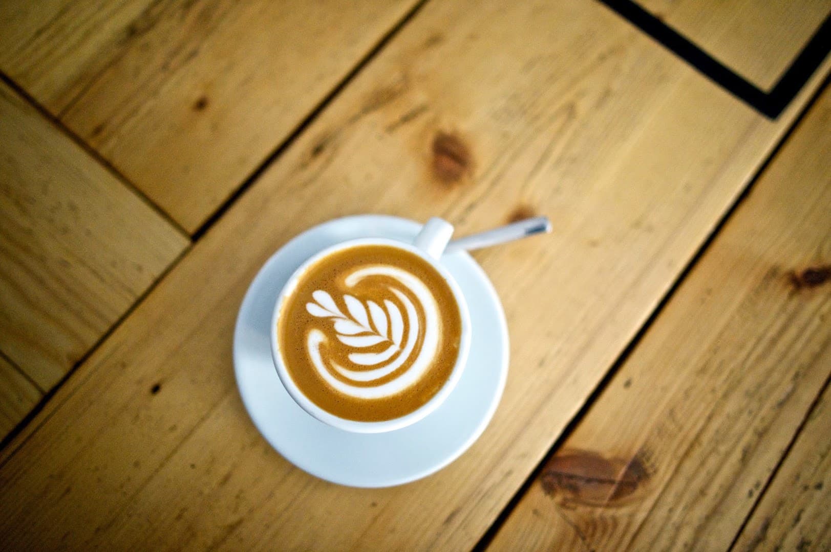 Kaffeemodul - specialty coffee shop in Vienna