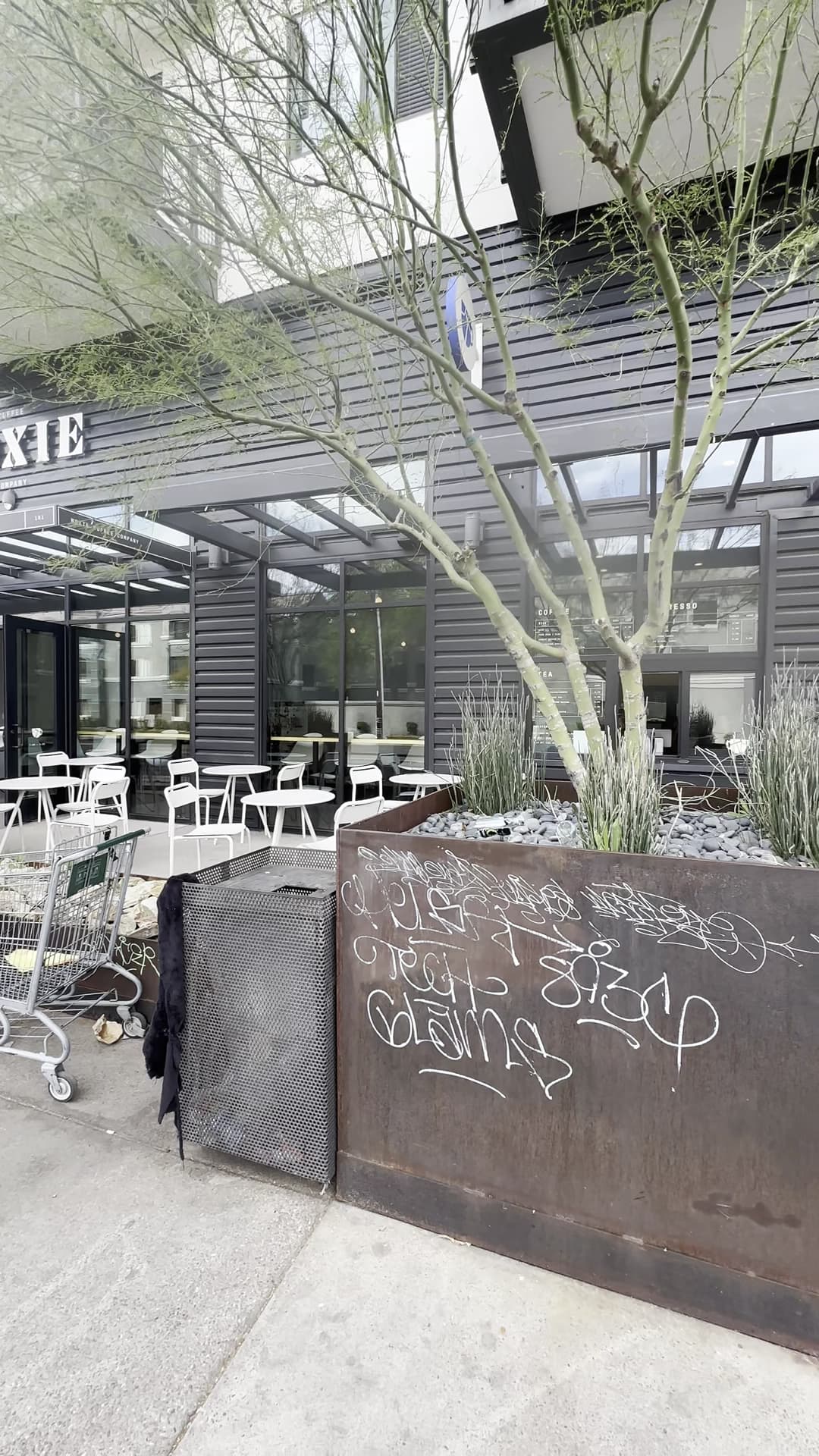 Moxie Coffee Co. specialty coffee shop in Phoenix - photo 7