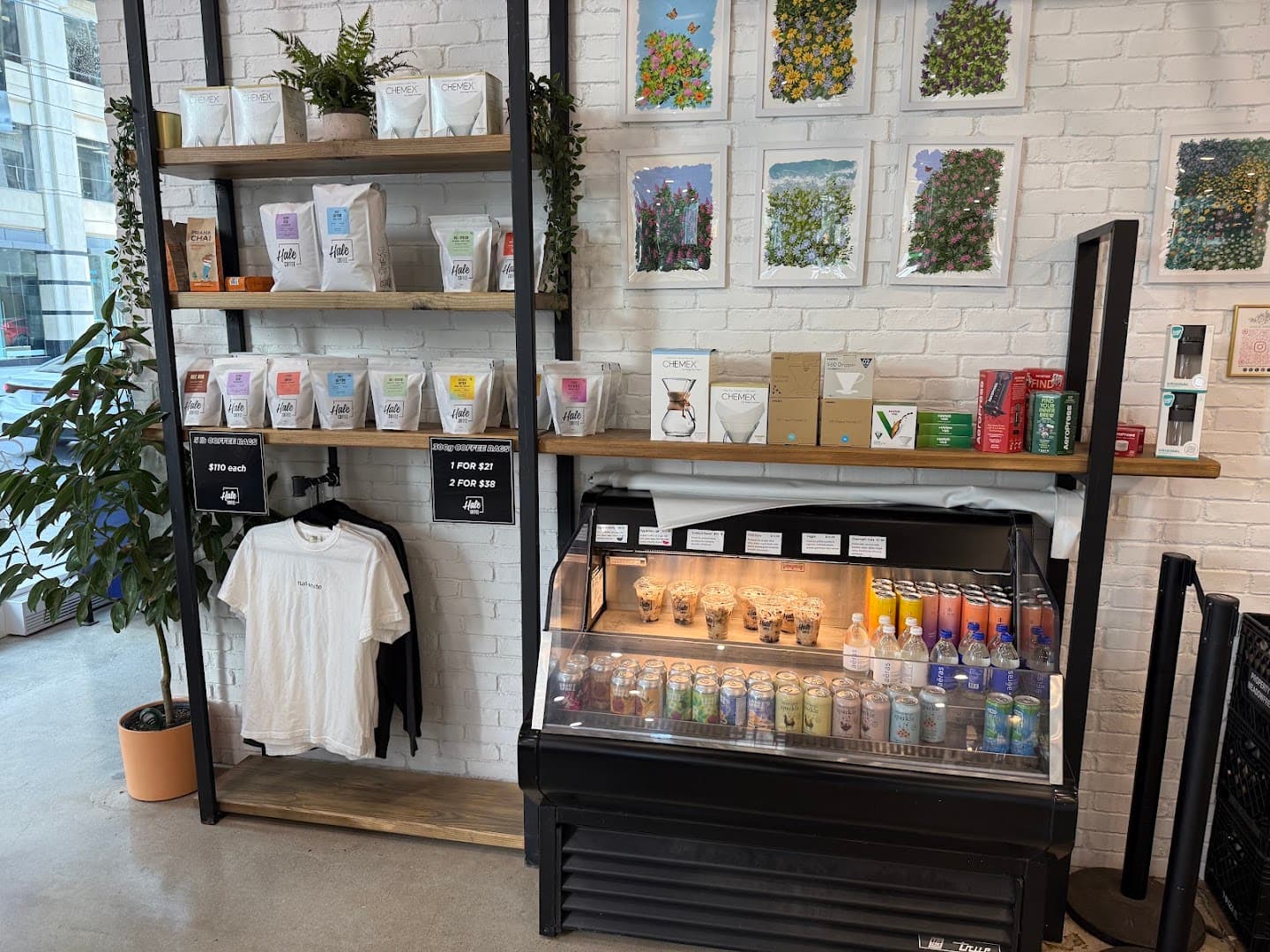 Hale Coffee Company - specialty coffee shop in Toronto