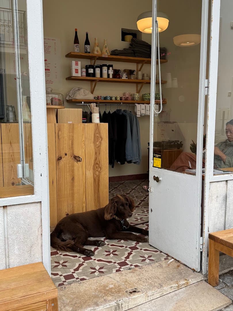 Anemia Specialty Coffee & Retail - specialty coffee shop in Lisbon