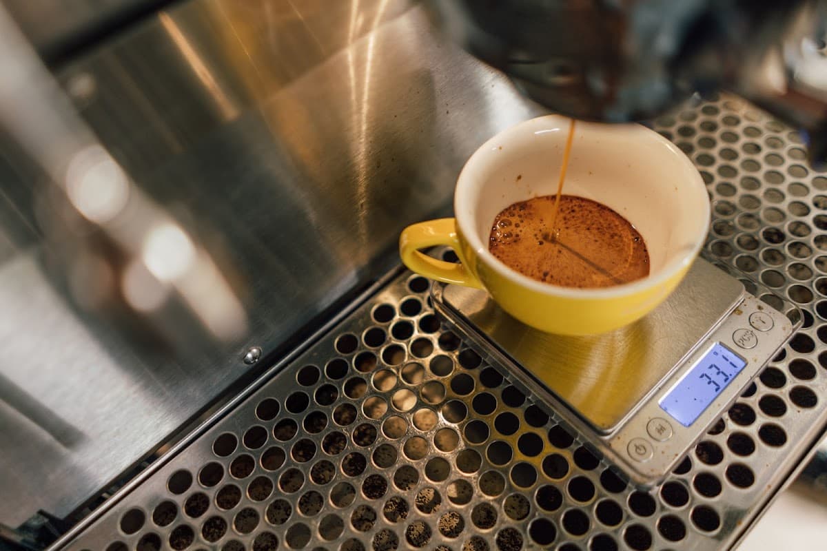 Praxis Coffee Roasters - specialty coffee shop in Mercado Heights