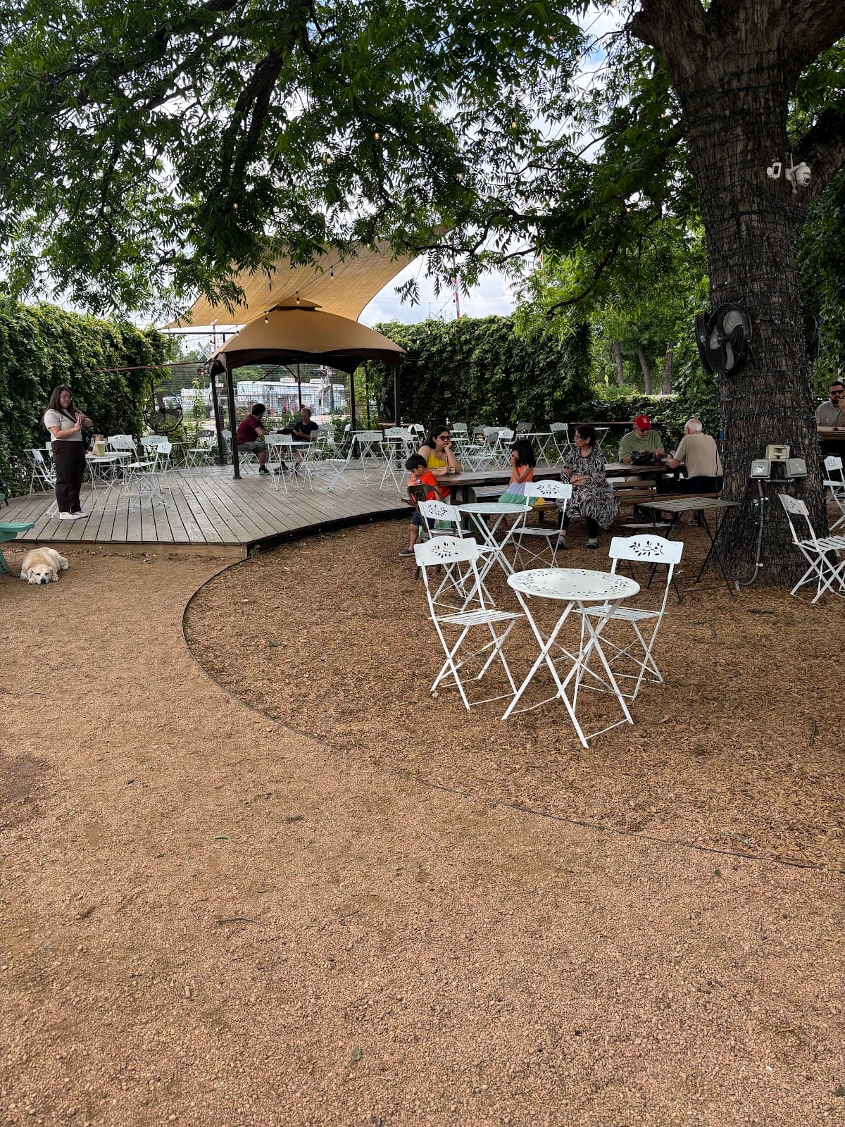 Desnudo Coffee: East Austin - specialty coffee shop in Blackshear-Prospect Hill