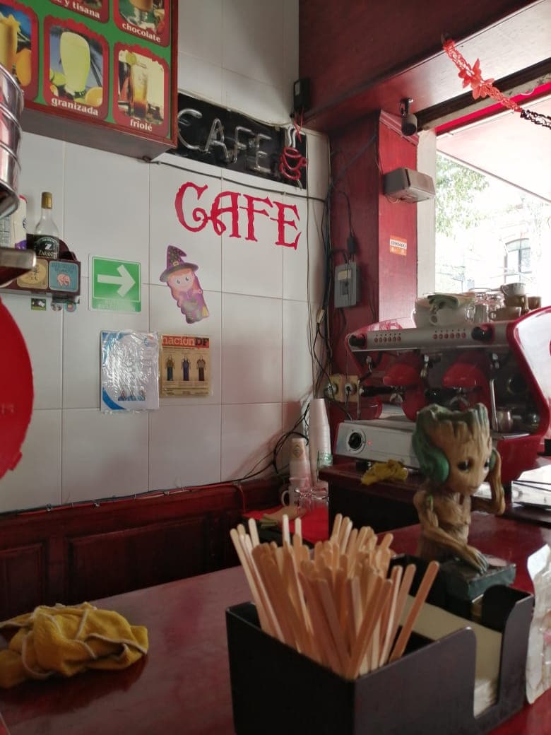 Interior of Café el Cordobes, specialty coffee shop in Mexico City