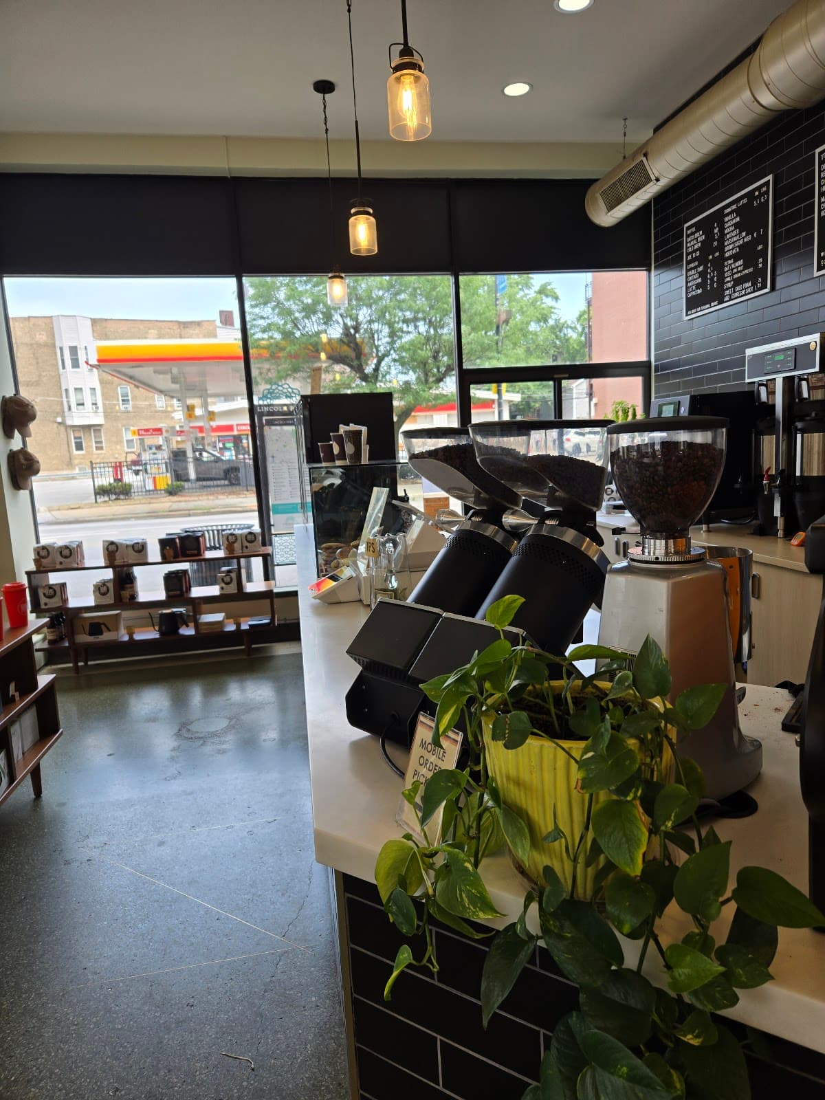 Big Shoulders Coffee - specialty coffee shop in Sheffield & DePaul