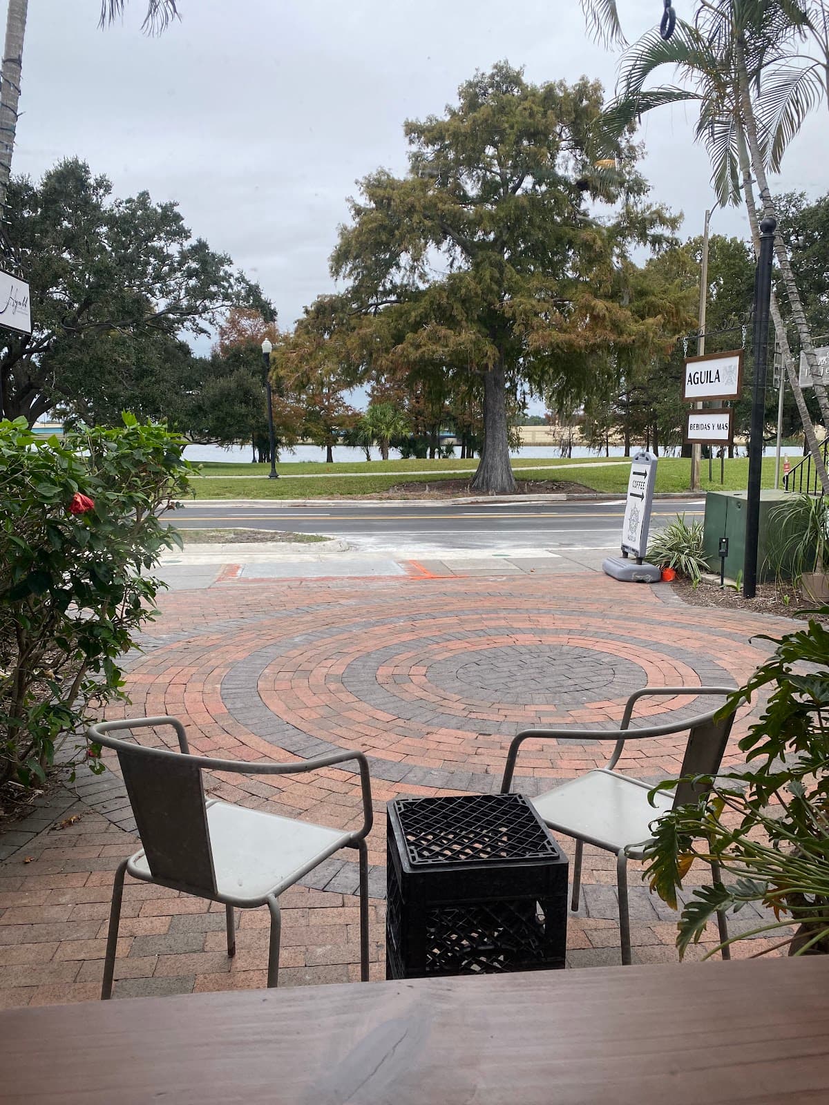 Águila Coffee - specialty coffee shop in Orlando