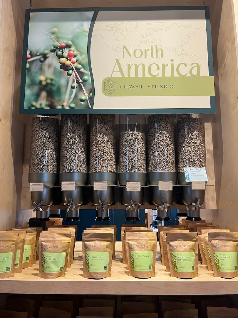 Current Crop Roasting Shop - specialty coffee shop in New Orleans