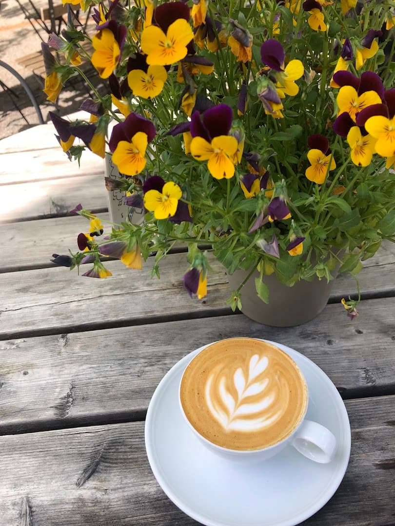 Café Blom - specialty coffee shop in Skeppsholmen