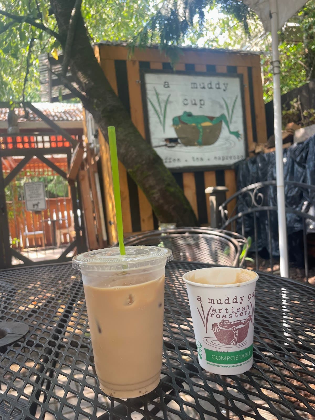 A Muddy Cup Cafe' & Roastery specialty coffee shop in Seattle - photo 8