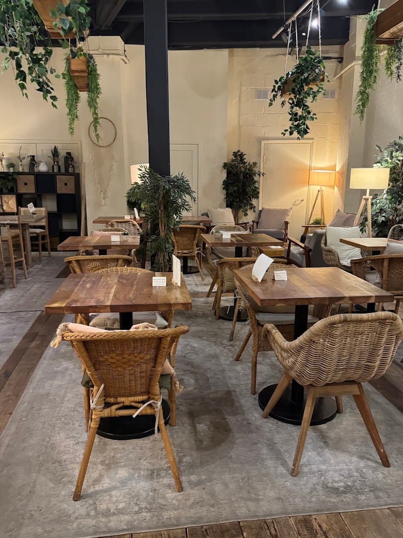 Gecko Coffeehouse - specialty coffee shop in London