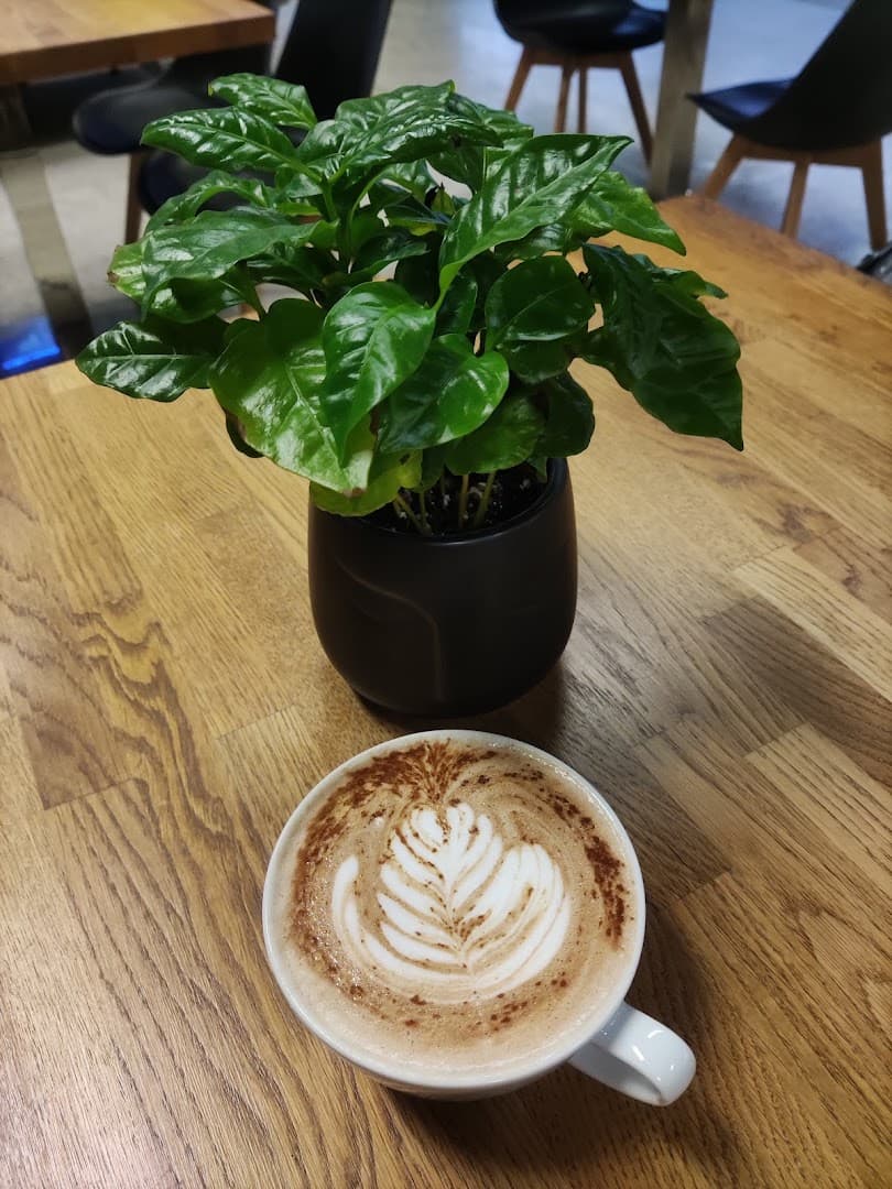 Coffee at Kofyka Espresso Bar, specialty coffee shop in Prague