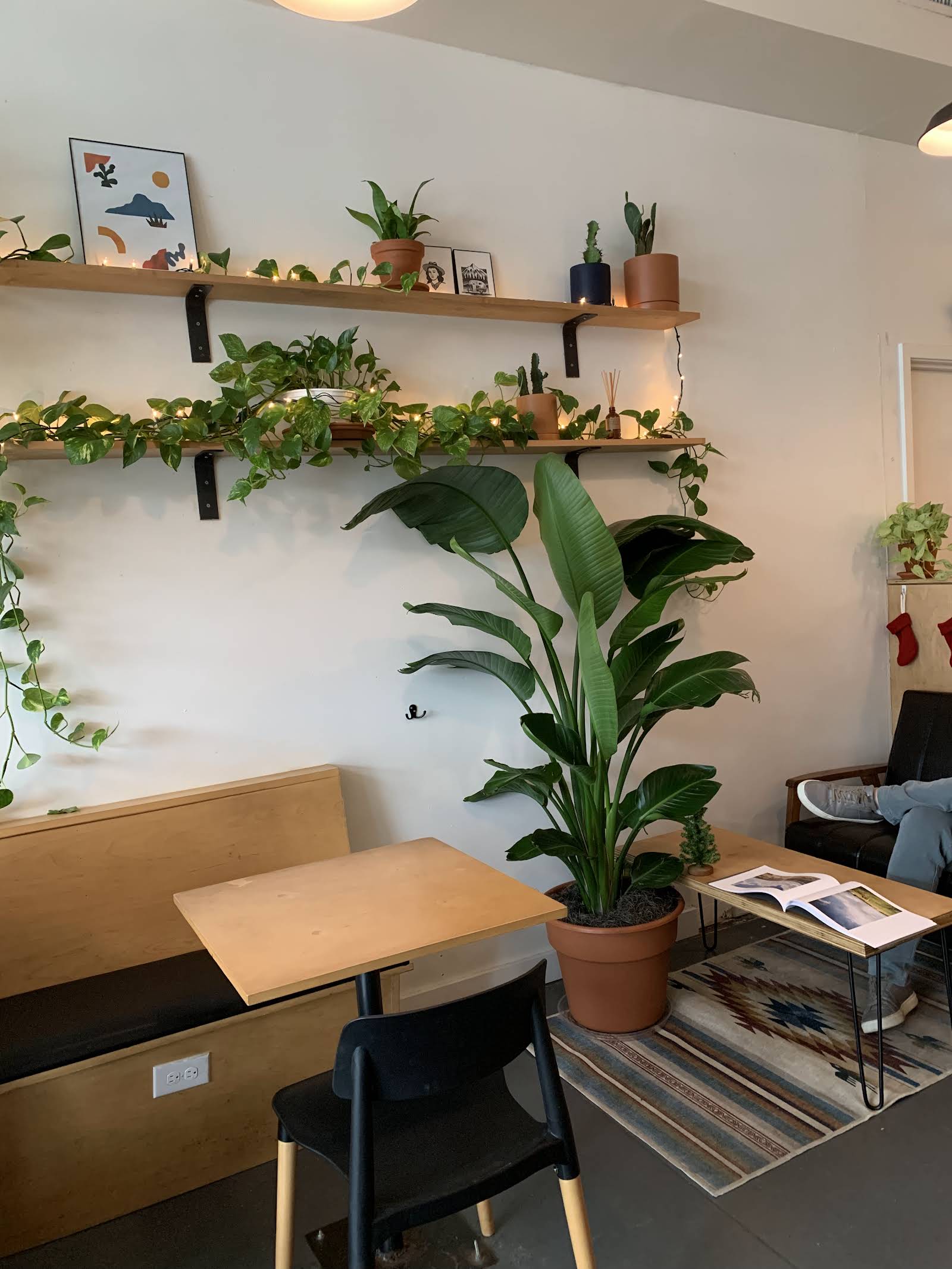 Wayward Coffee Co - specialty coffee shop in Oak Cliff