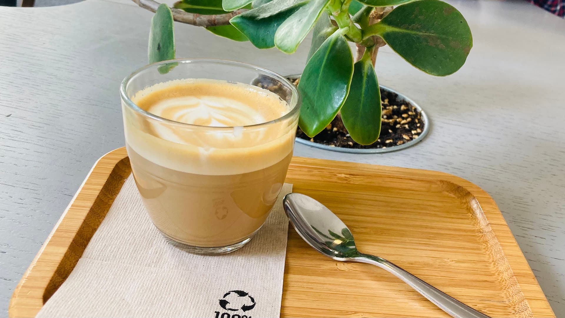 Coffee at TYPIKA Nusle, specialty coffee shop in Prague