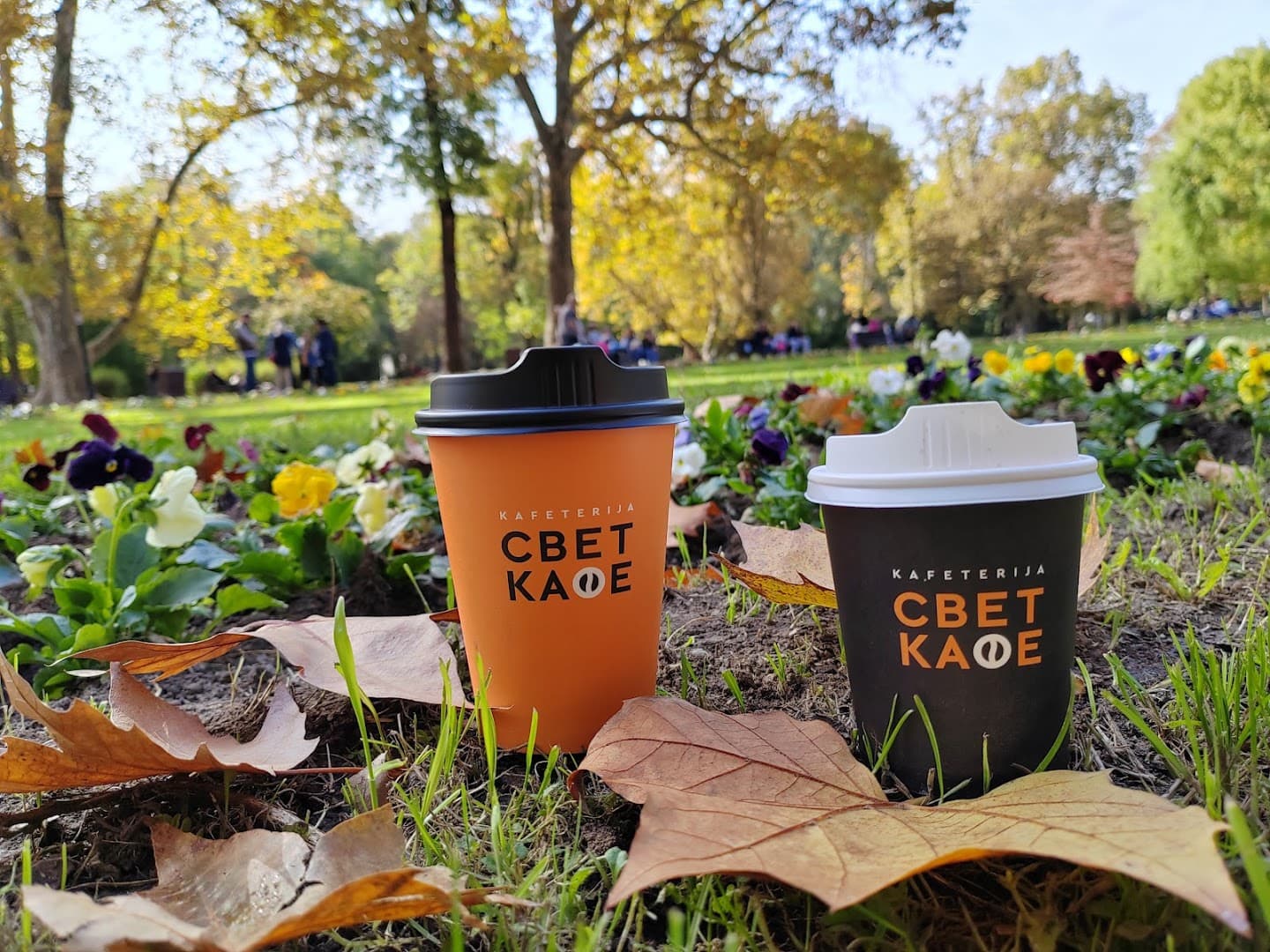 Coffee at Kafeterija - Svet Kafe, specialty coffee shop in Belgrade