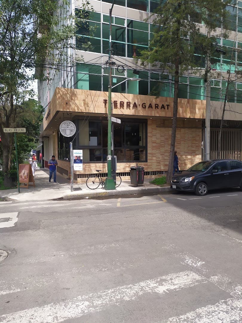 Tierra Garat - specialty coffee shop in Mexico City