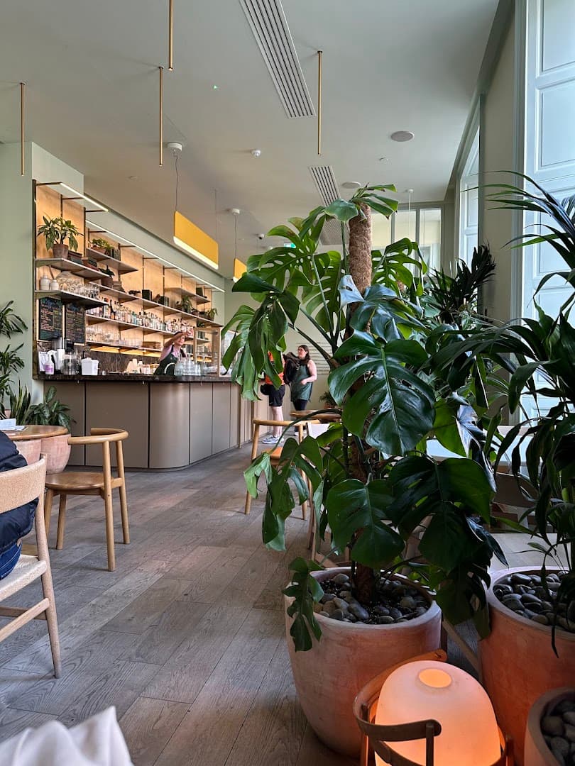 Mayvn Cafe - specialty coffee shop in Edinburgh