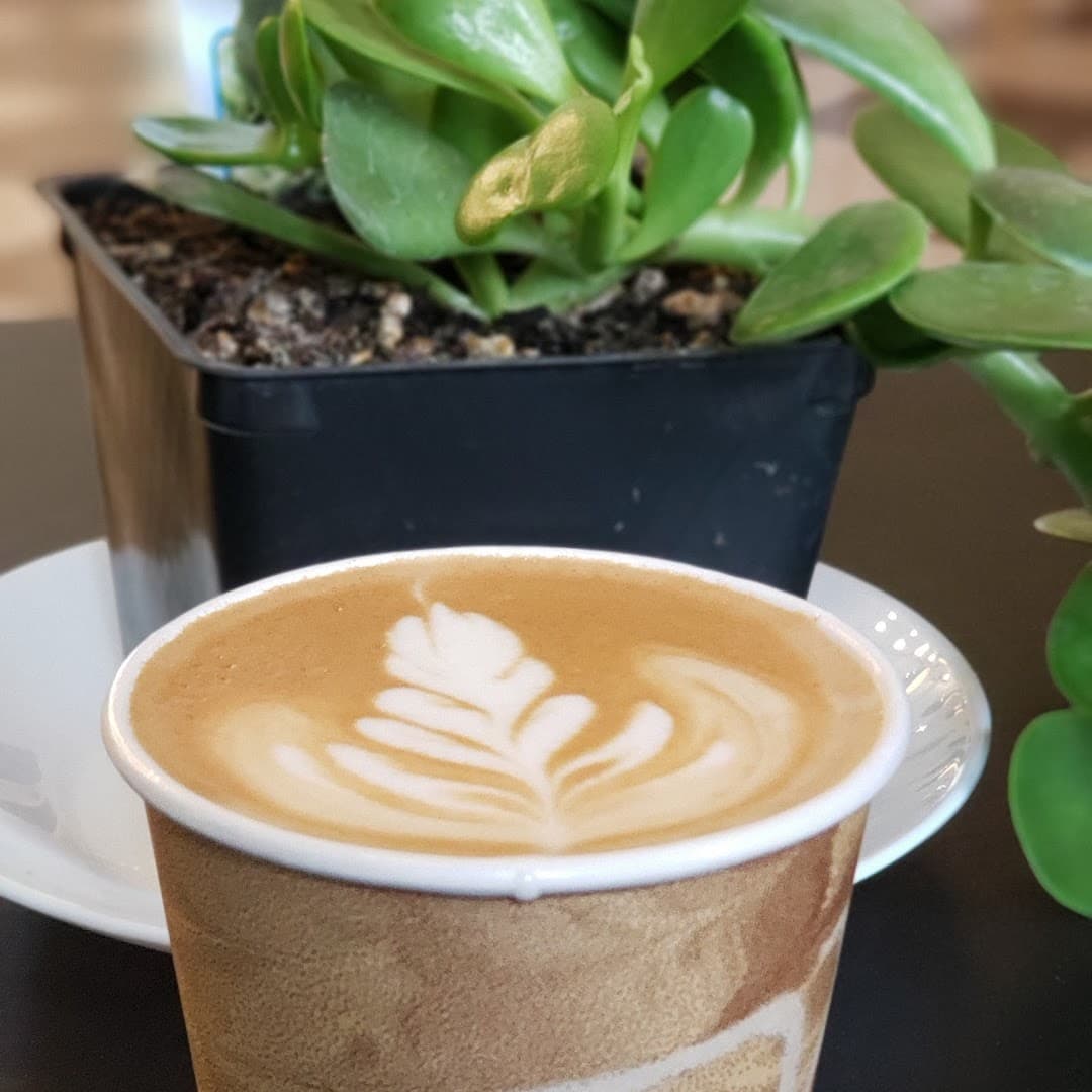 Café Zamora - specialty coffee shop in Creston - Kenilworth