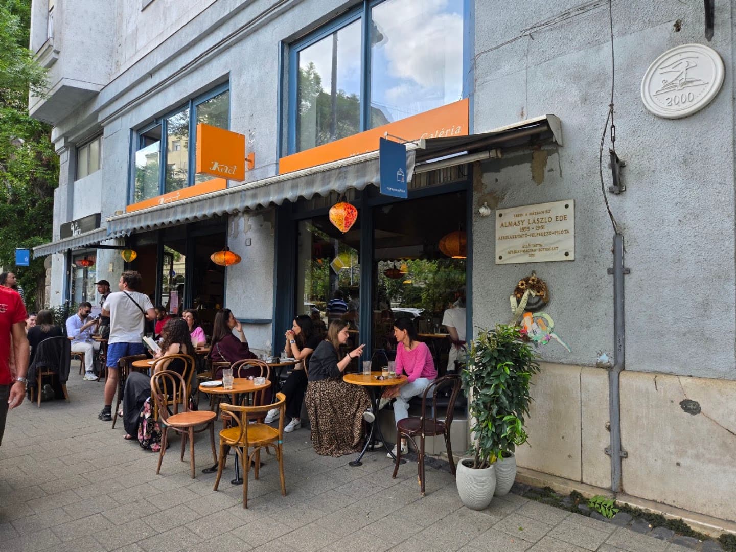 Kelet Kávézó és Galéria specialty coffee shop in Budapest - photo 8