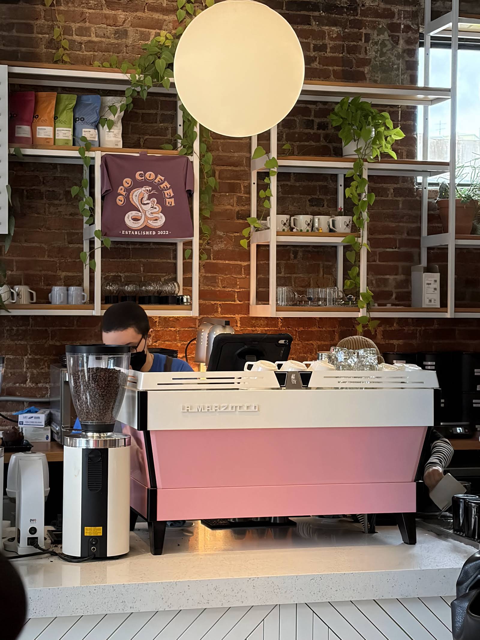 Opo Coffee specialty coffee shop in Atlanta - photo 12