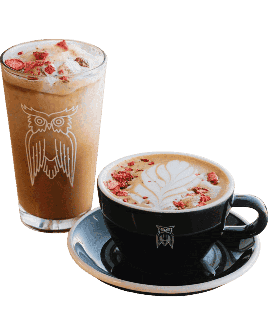James Coffee Co. - specialty coffee shop in San Diego