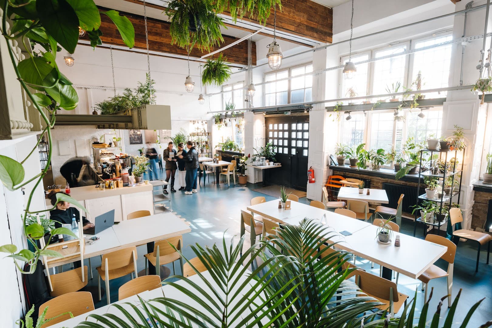 The Greens - Coffee & Plants - specialty coffee shop in Berlin