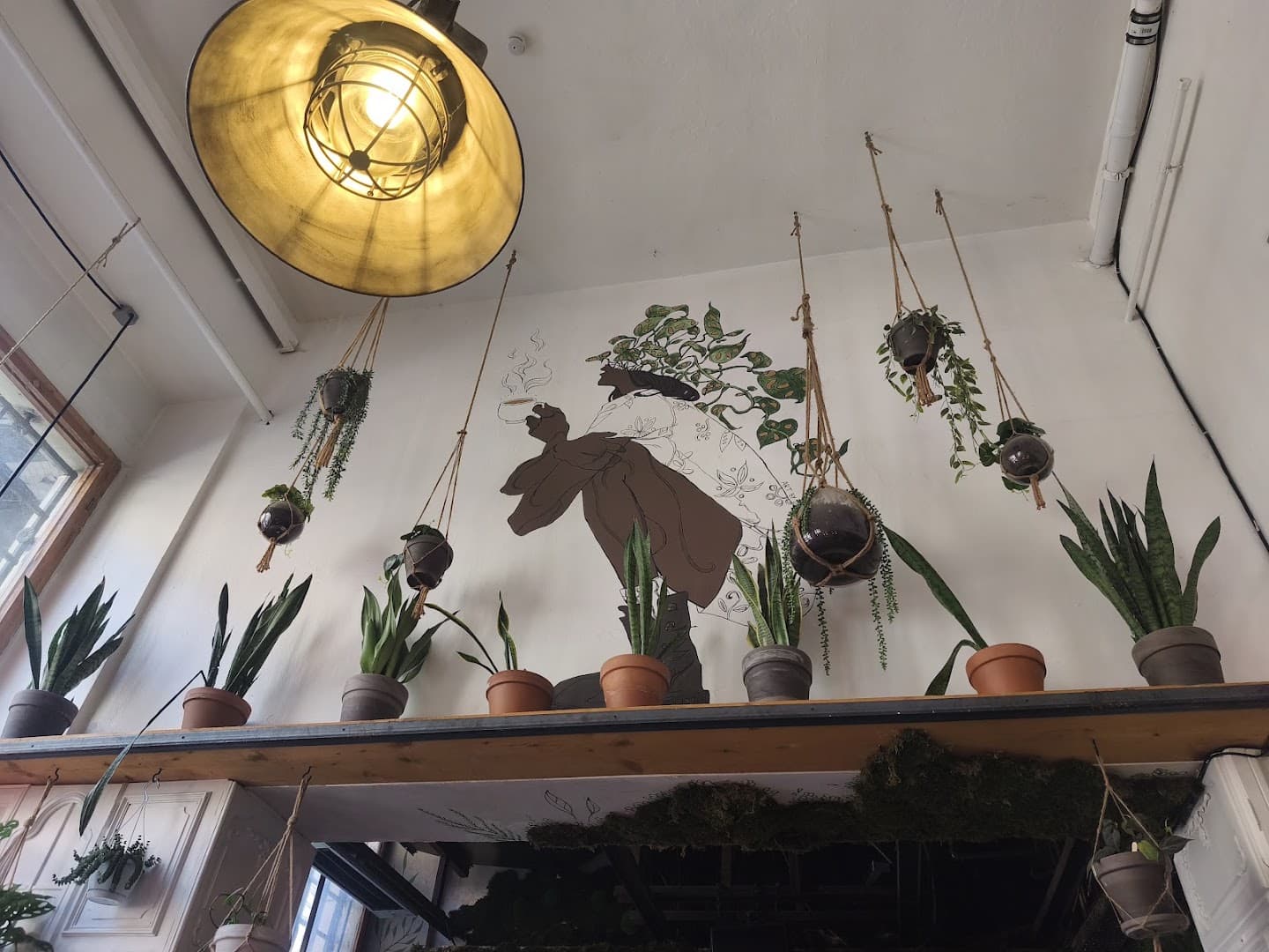 The Greens - Coffee & Plants - specialty coffee shop in Berlin