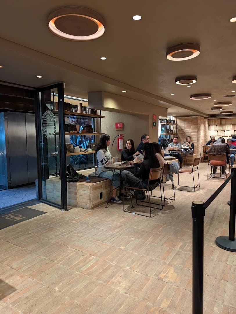 Interior of Tierra Garat, specialty coffee shop in Mexico City