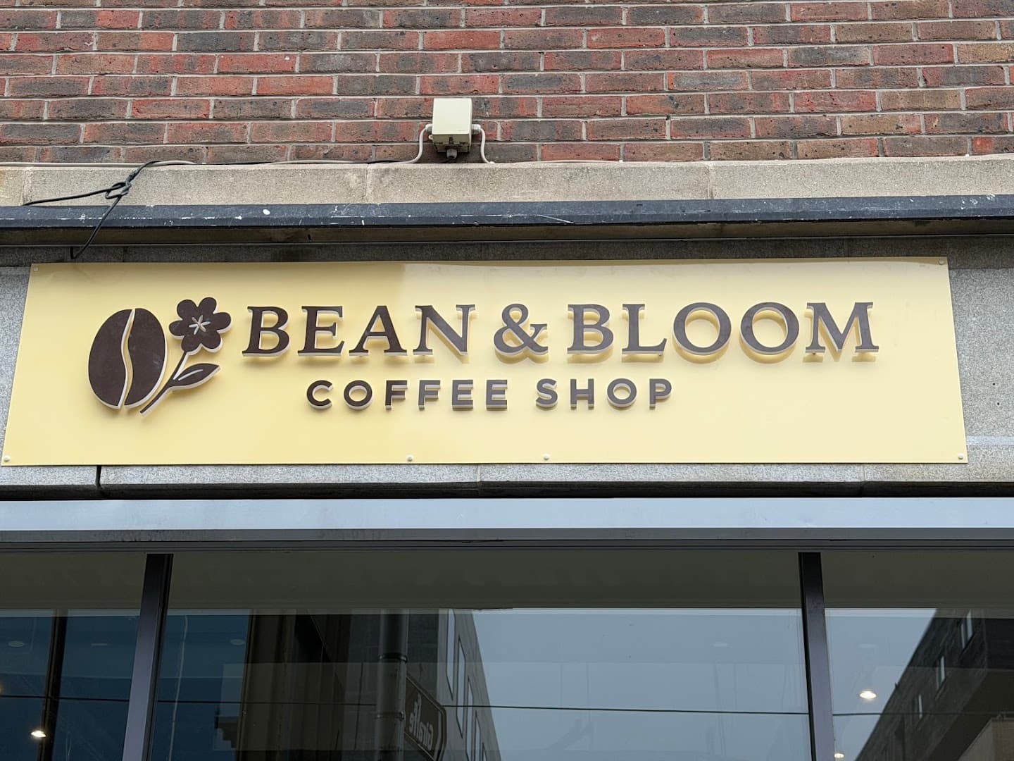 Bean & Bloom Coffee Shop - specialty coffee shop in Dublin