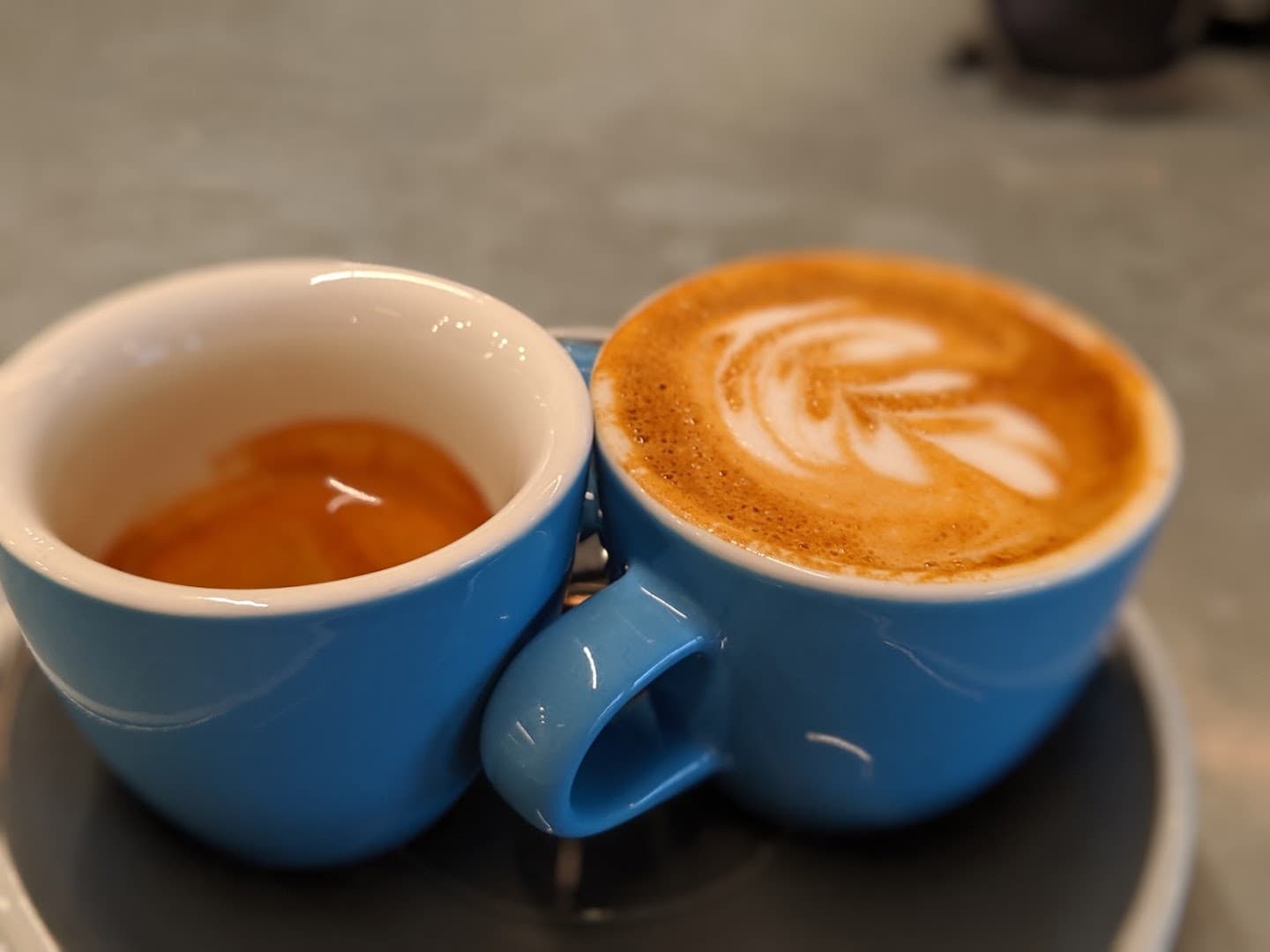 Cat & Cloud Coffee - specialty coffee shop in Santa Cruz