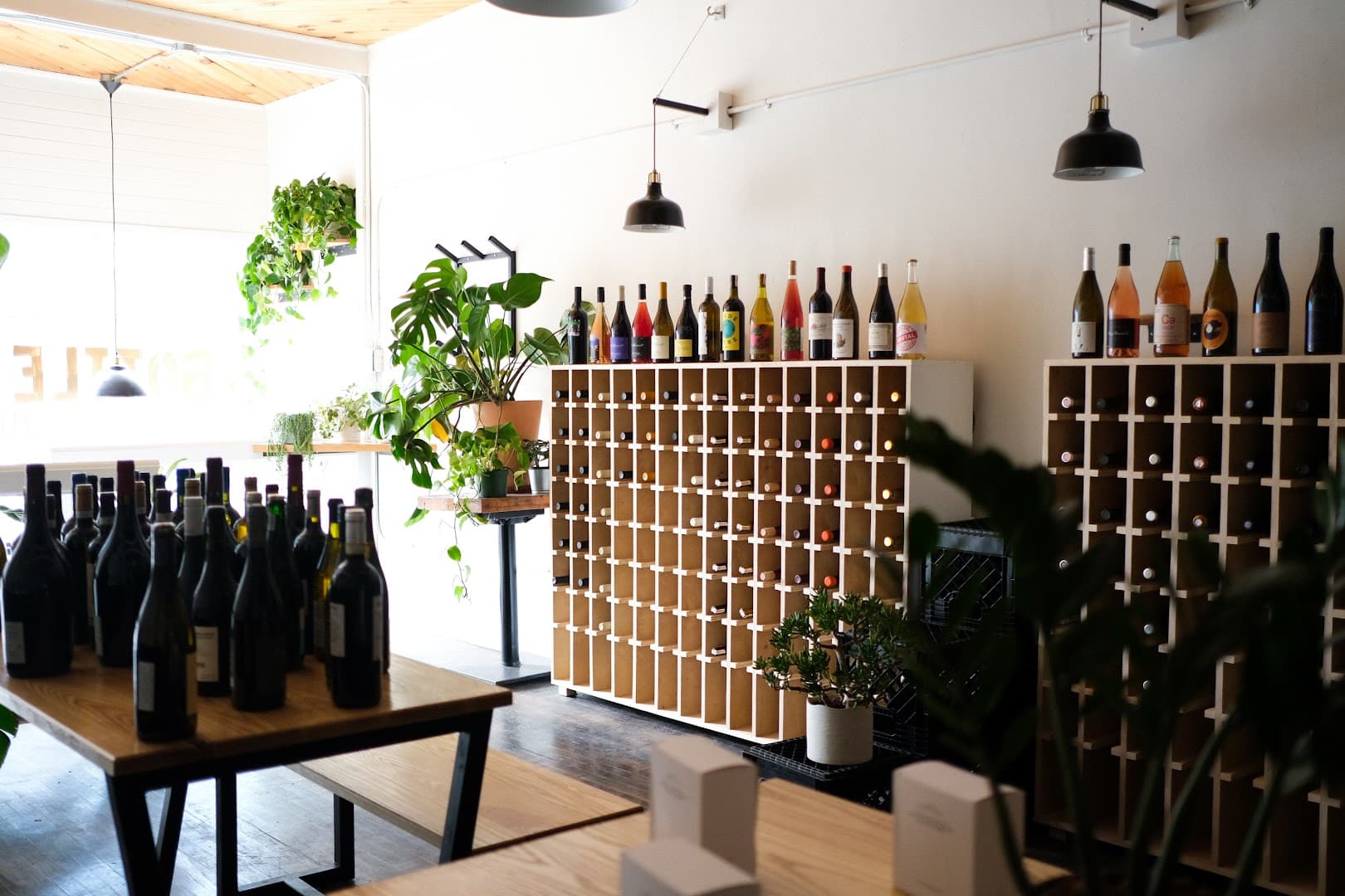Interior of Boxcar Social, specialty coffee shop in Toronto