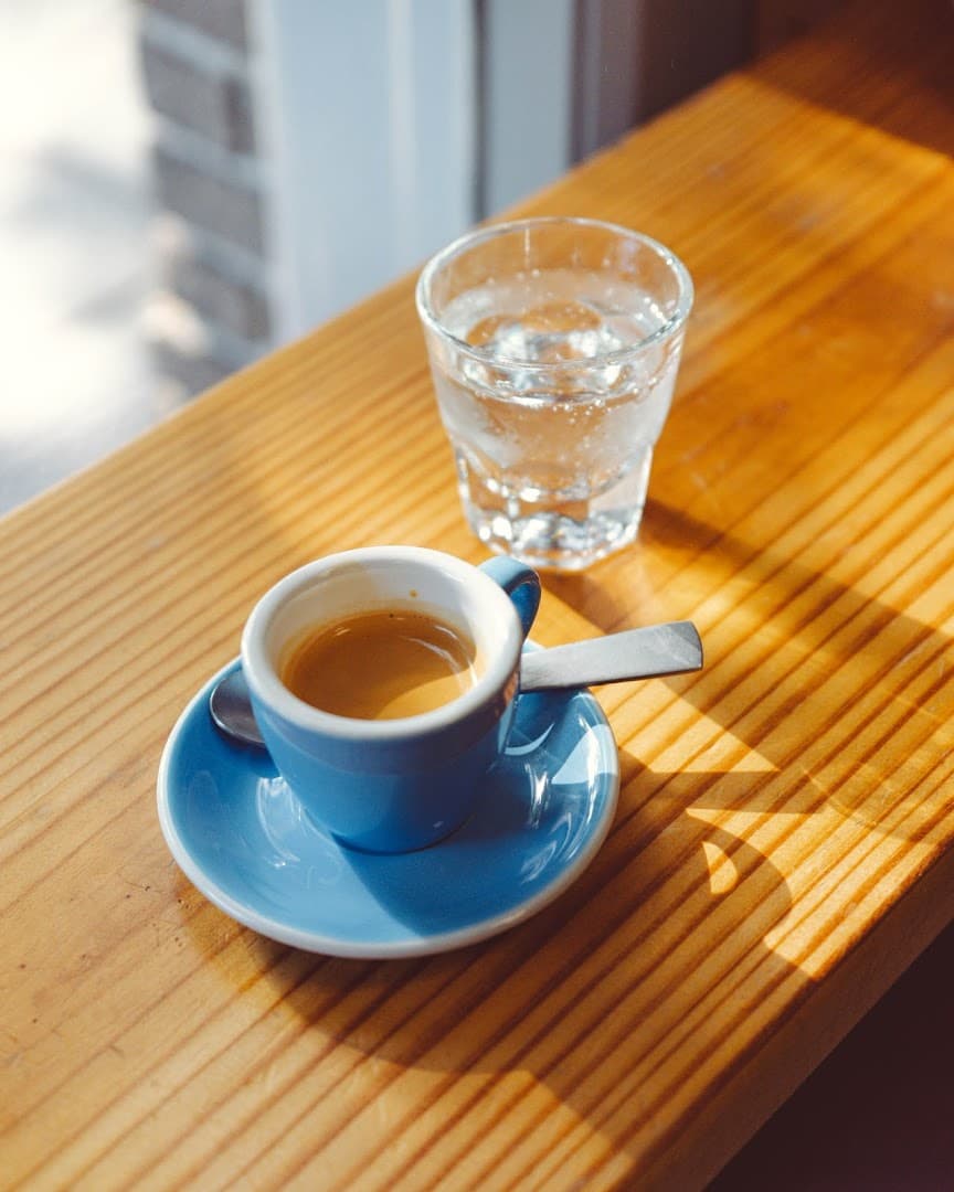 Mammoth Espresso - specialty coffee shop in New Orleans